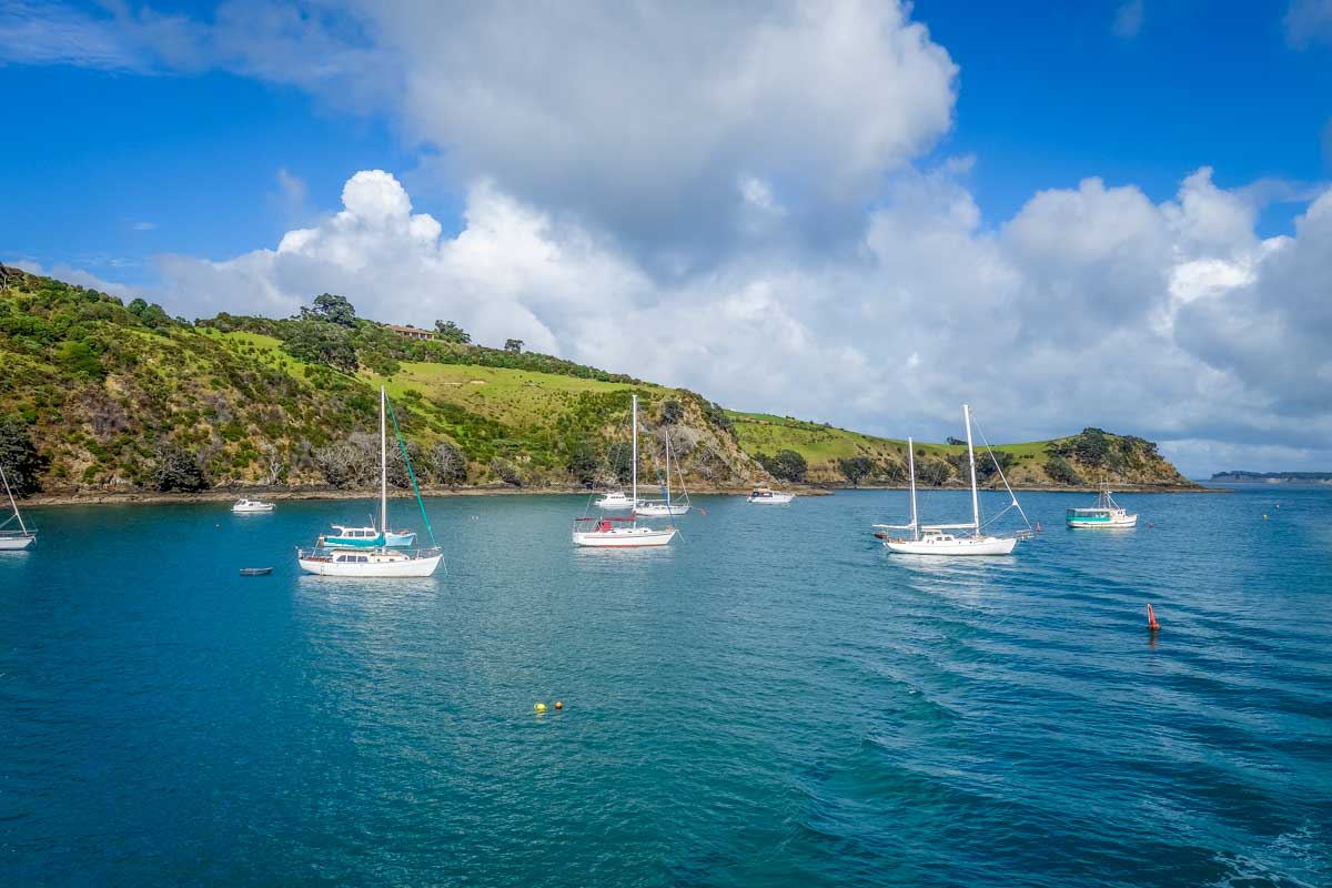 Waiheke Island Weekend Itinerary: How to Build a Better Festival Escape